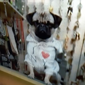 Meet your Posher, Leonor